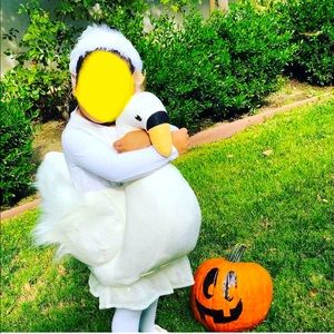 Potter Barn 3D Swan Costume 🦢